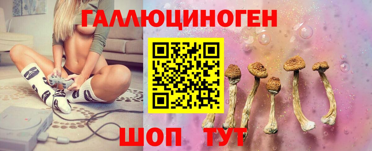 Новый Уренгой  Галлюциногенные грибы мицелий  Вход с VPN 